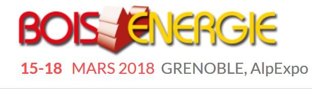 Bois Energie (Wood Energy Expo) 2018 Frankreich